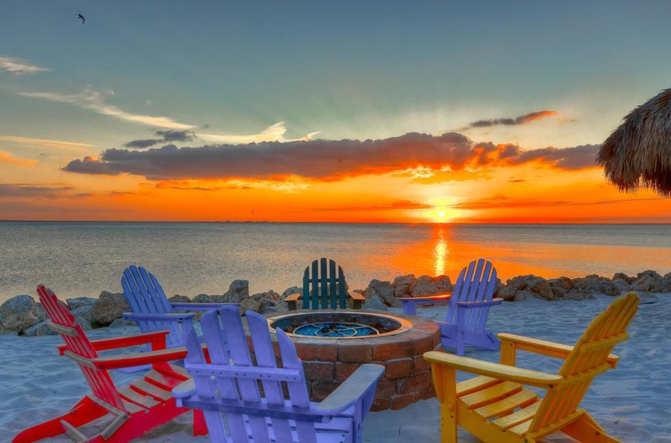 202-Pool, Wifi, Close To Bucs Stadium Tampa Bagian luar foto