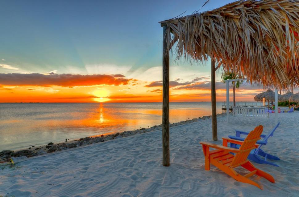 202-Pool, Wifi, Close To Bucs Stadium Tampa Bagian luar foto