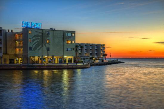 202-Pool, Wifi, Close To Bucs Stadium Tampa Bagian luar foto