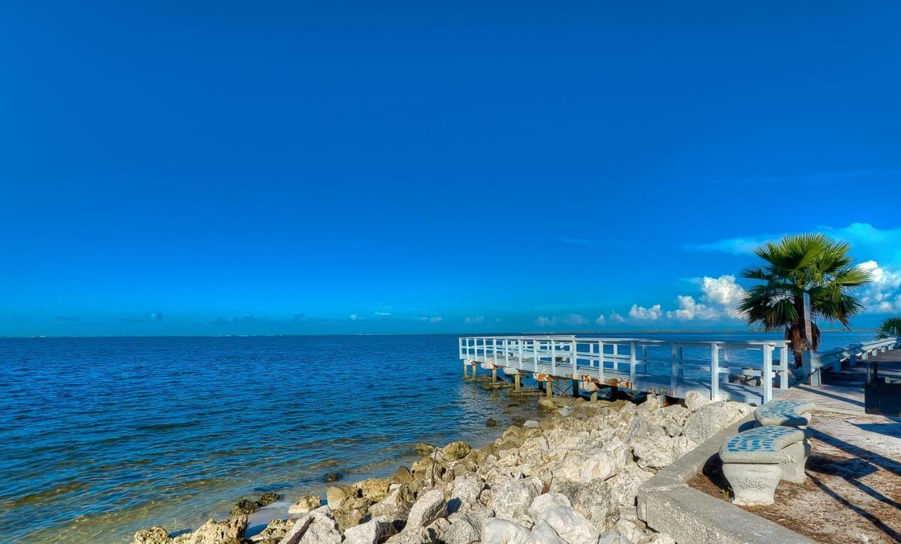 202-Pool, Wifi, Close To Bucs Stadium Tampa Bagian luar foto