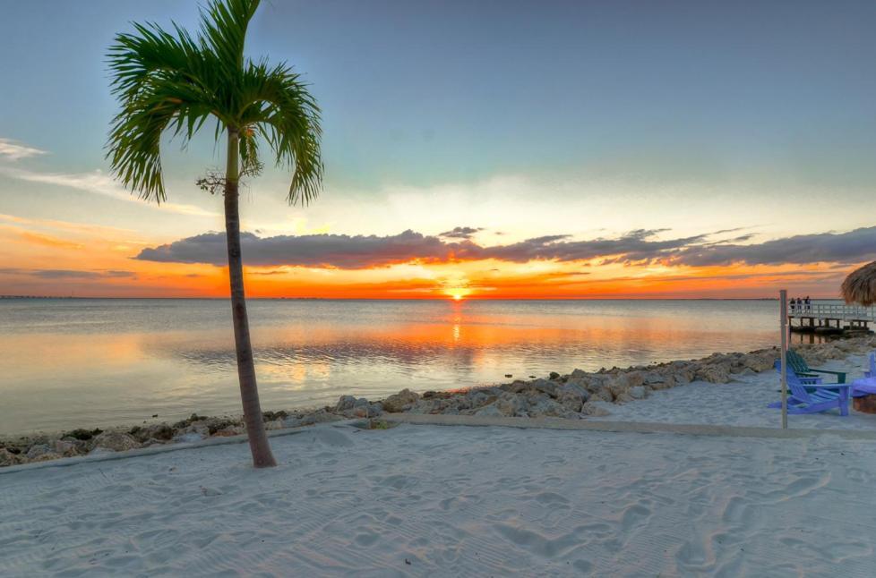 202-Pool, Wifi, Close To Bucs Stadium Tampa Bagian luar foto