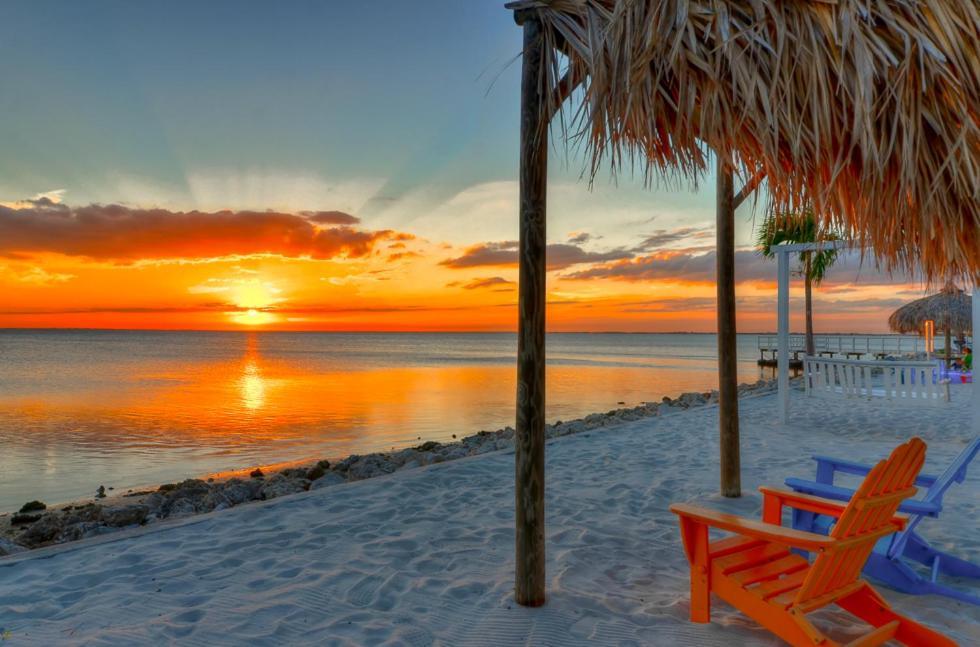 202-Pool, Wifi, Close To Bucs Stadium Tampa Bagian luar foto